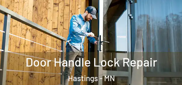 Door Handle Lock Repair Hastings - MN
