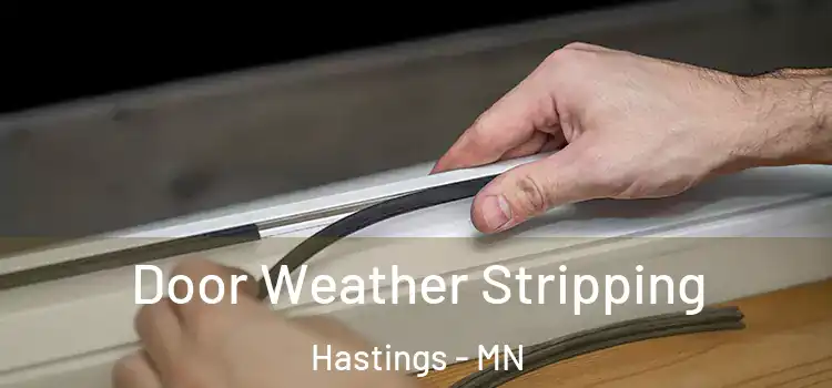 Door Weather Stripping Hastings - MN