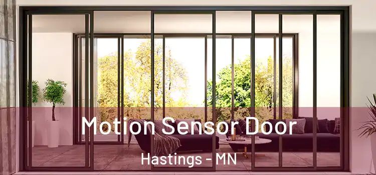 Motion Sensor Door Hastings - MN