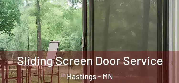 Sliding Screen Door Service Hastings - MN