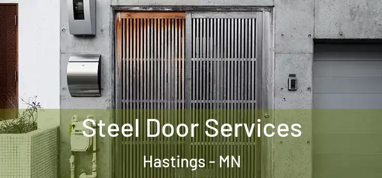 Steel Door Services Hastings - MN